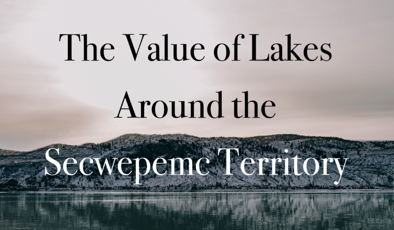 The Value of Lakes Around the Secwepemc Territory